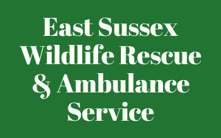 East Sussex Wildlife Rescue & Ambulance Service