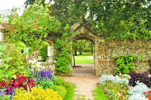 Lewes Fundraisers