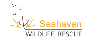 Seahaven Wildlife Rescue
